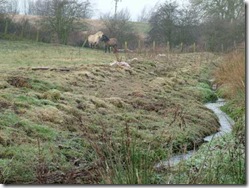 Mill Burn in its natural state at Muirhead in 2008