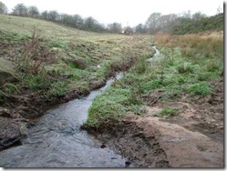 Mill Burn in its natural state at Muirhead in 2008
