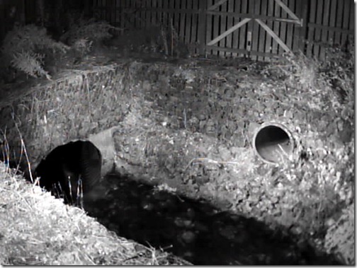 New 3.6mm lens night image
