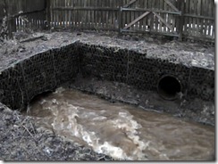 Freuchie Mill culvert at 3pm on the 15th January 2011 with only 12mm of rainfall since midnight