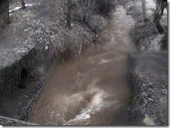 Pitilock Burn viewed from the Freuchie Mill culvert at 3pm on the 15th January 2011 with only 12mm of rainfall since midnight