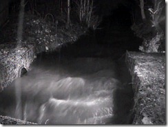 Pitilock Burn at the Freuchie Mill culvert at 4am on the 16th January 2011